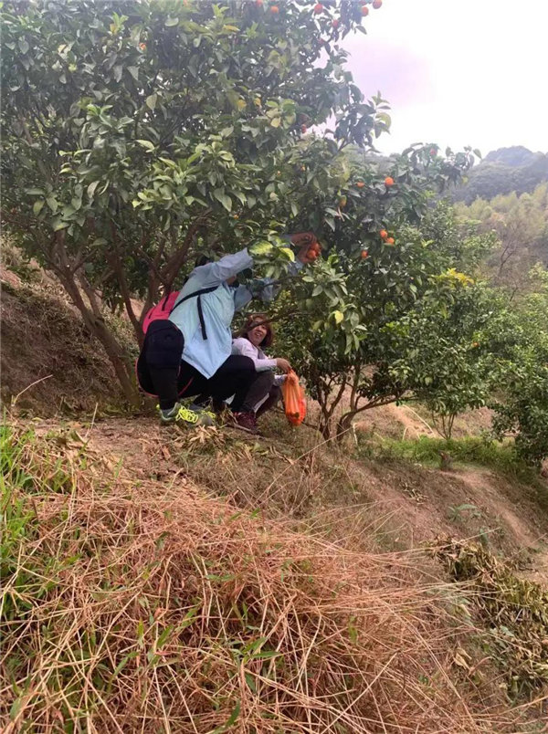 博行天下俱樂(lè)部走進(jìn)從化十登的第二峰-雞枕山     -18