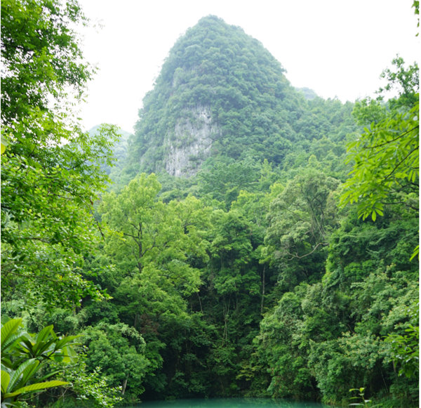 賞華夏大地，游多彩貴州-－2021年廣東博皓快樂(lè)行-2